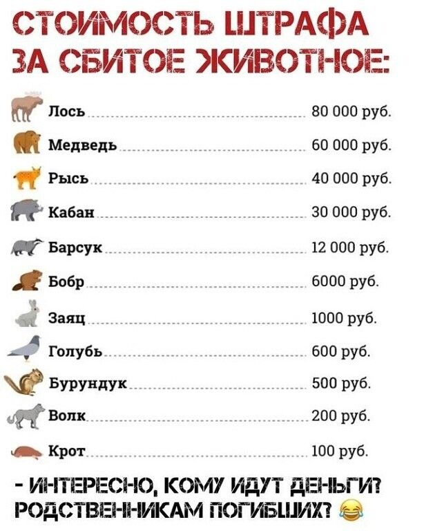 СТОИМОСТЬ ШТРАФА ЗА СБИТОЕ ЖИВОТНОЕ:
Лось 80 000 руб.
 Медведь 60 000 руб.
 Рысь 40 000 руб.
 Кабан 30 000 руб.
 Барсук 12 000 руб.
 Бобер 6000 руб.
 Заяц 1000 руб.
 Голубь 600 руб.
 Бурундук 500 руб.
 Волк 200 руб.
 Крот 100 руб.
 - Интересно, кому идут деньги? Родственникам погибших? 😂