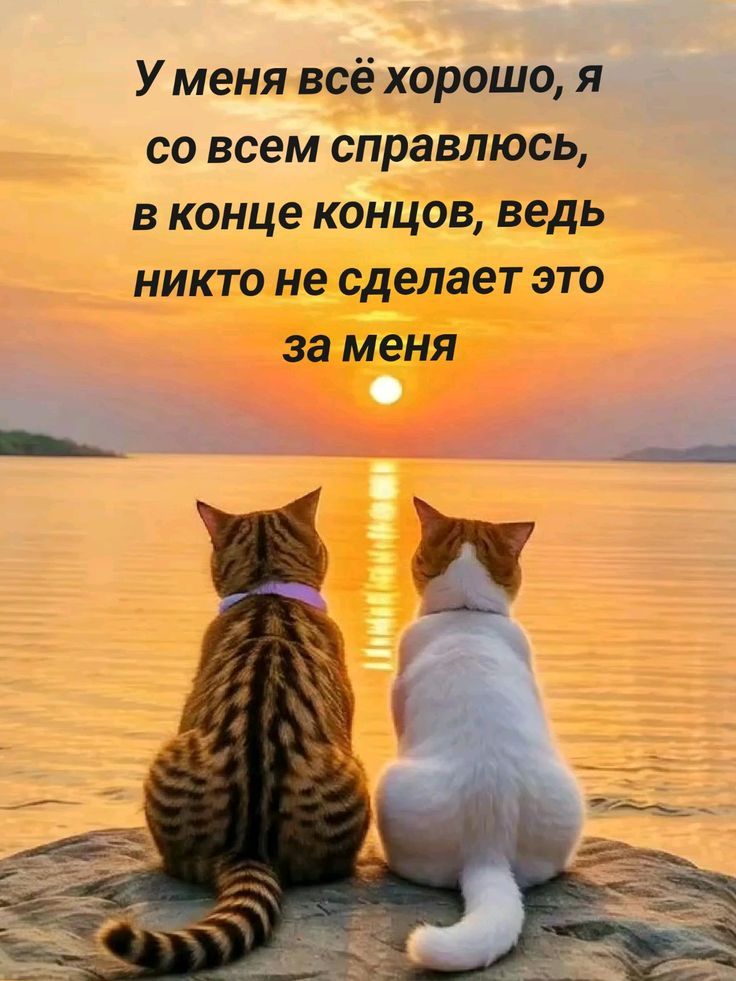 У меня всё хорошо, я со всем справлюсь, в конце концов, ведь никто не сделает это за меня