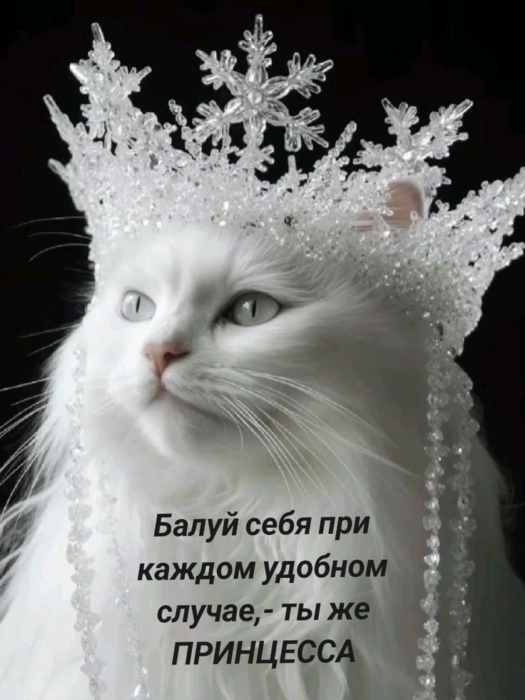 Балуй себя при каждом удобном случае, - ты же ПРИНЦЕССА
