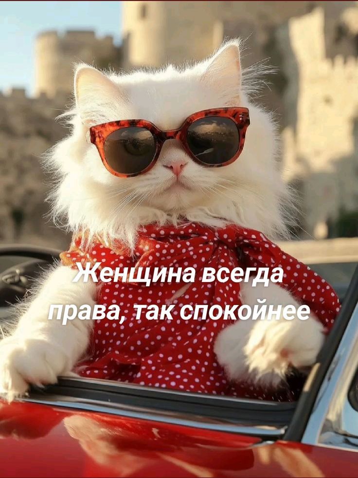 Женщина всегда права, так спокойнее