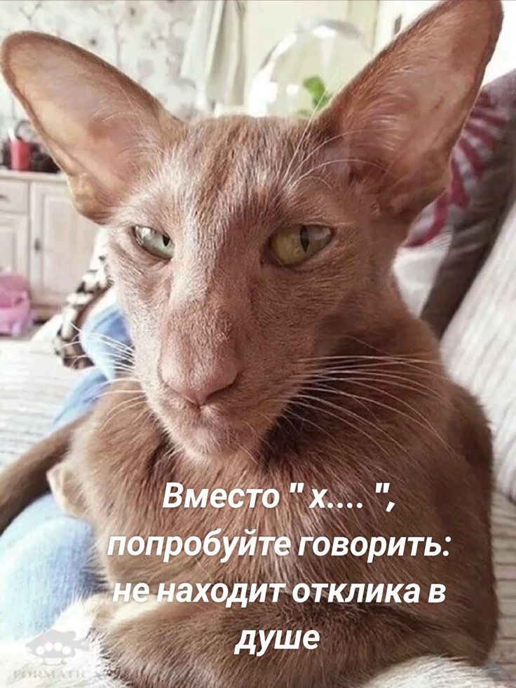 Вместо 