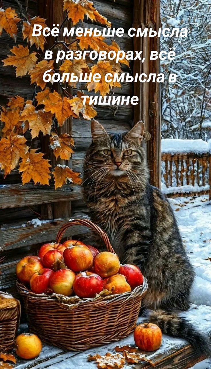 Всё меньше смысла в разговорах, всё больше смысла в тишине