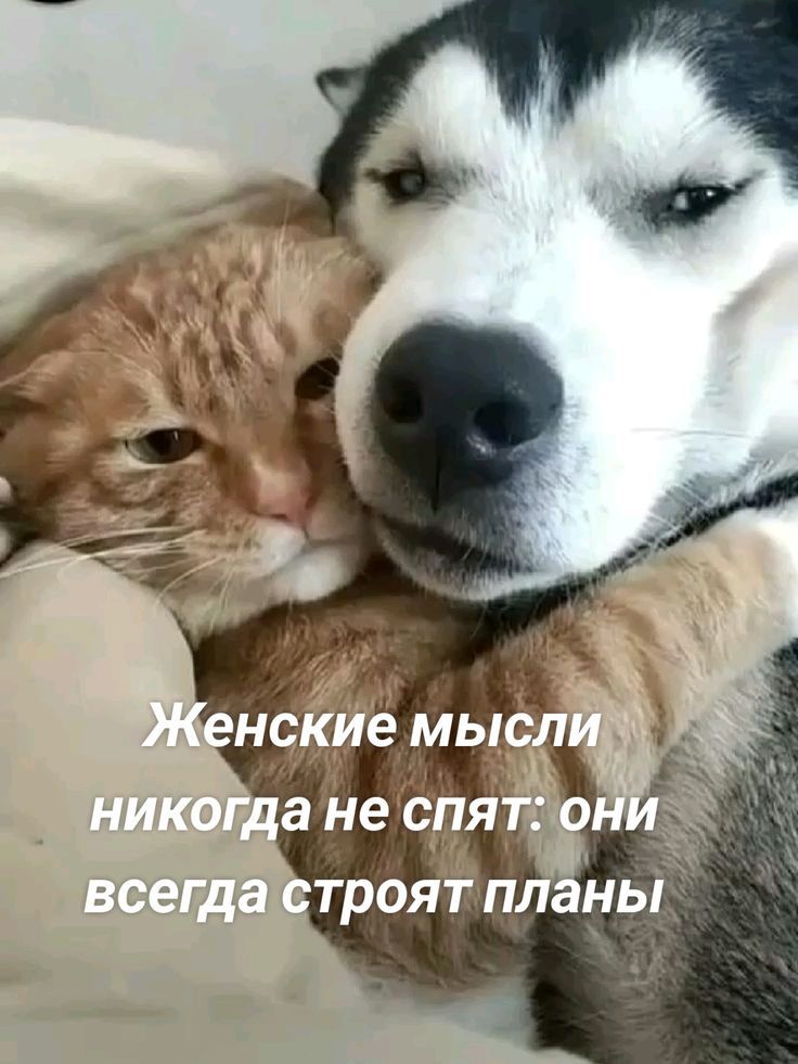 Женские мысли никогда не спят: они всегда строят планы