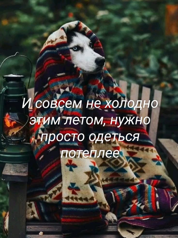 И совсем не холодно этим летом, нужно просто одеться потеплее