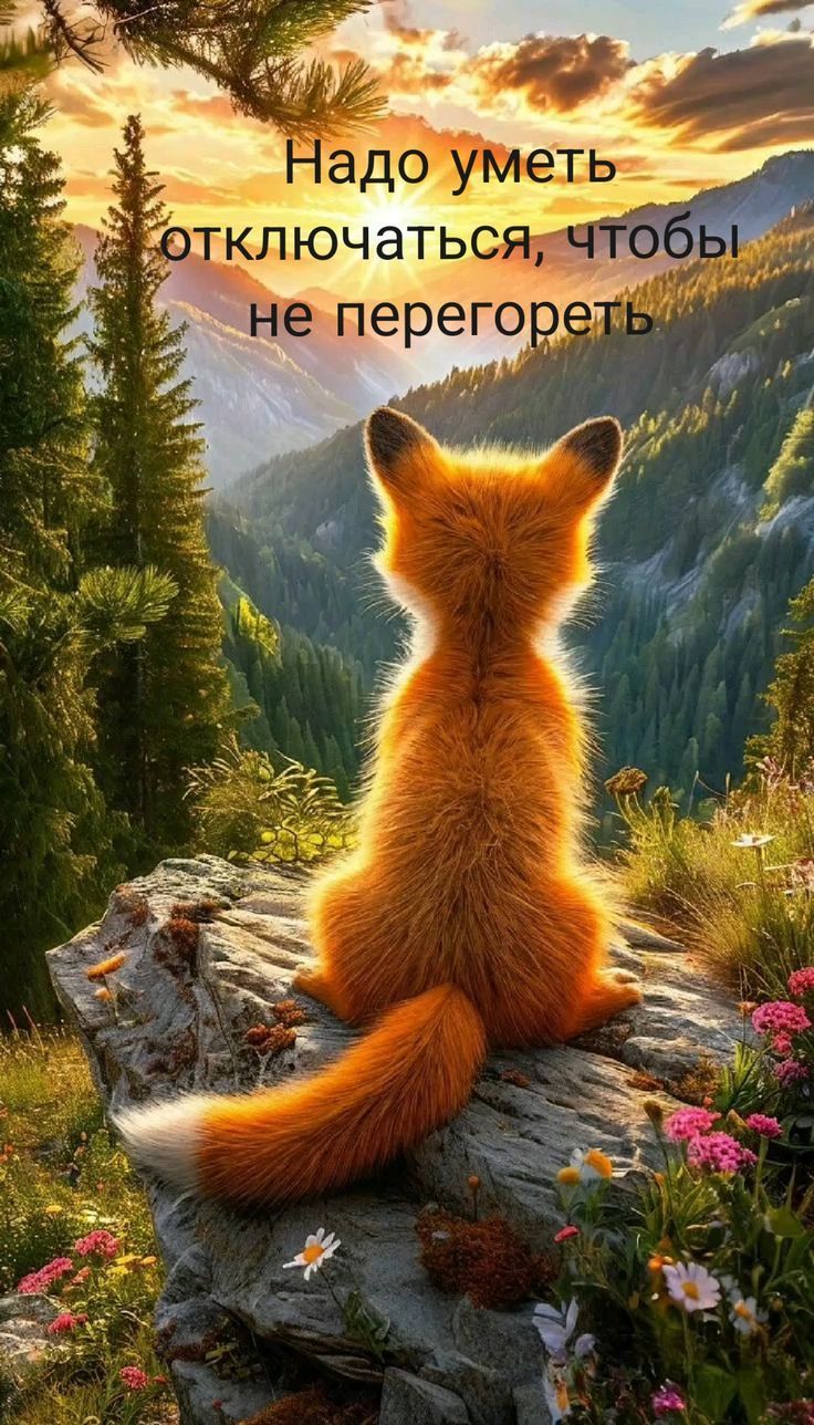 Надо уметь отключаться, чтобы не перегореть