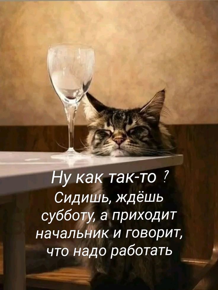 Ну как так-то ? Сидишь, ждёшь субботу, а приходит начальник и говорит, что надо работать