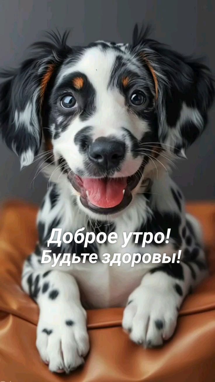 Доброе утро! Будьте здоровы!