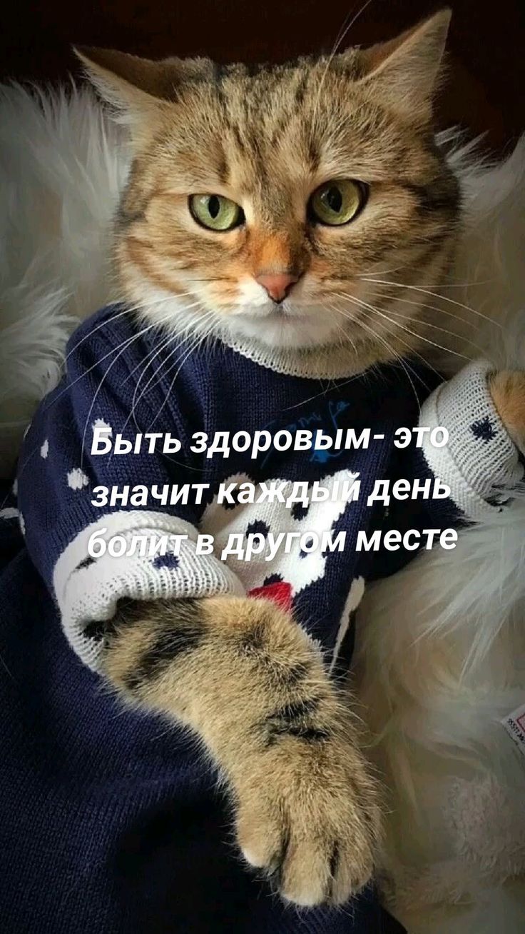 Быть здоровым- это значит каждый день болит в другом месте