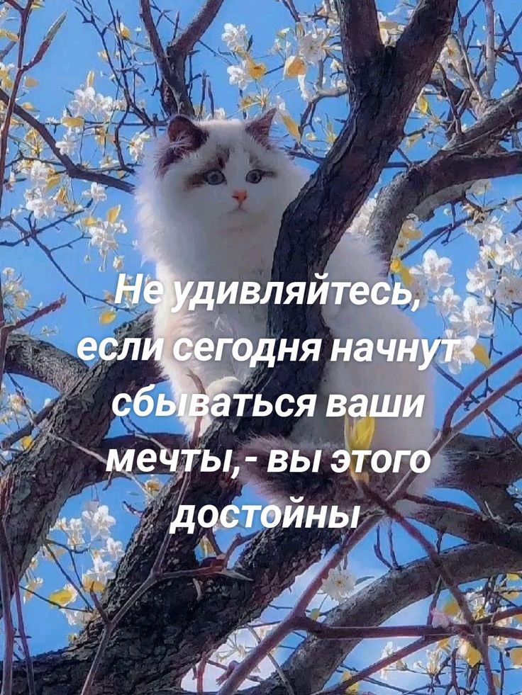 Не удивляйтесь, если сегодня начнут сбываться ваши мечты, - вы этого достойны