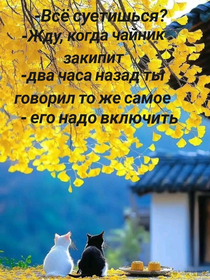 Все суетишься? Жду, когда чайник закипит - два часа назад ты говорил то же самое - его надо включить