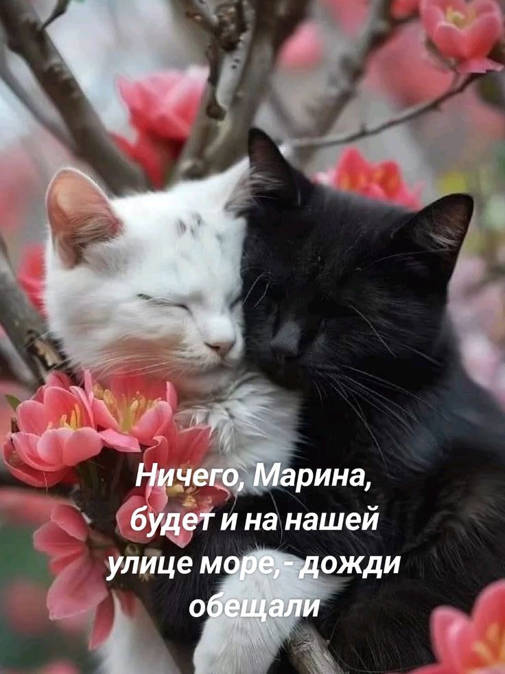 Ничего, Марина, будет и на нашей улице море, - дожди обещали