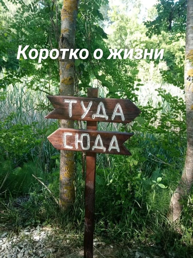 Коротно о жизни
ТУДА
СЮДА