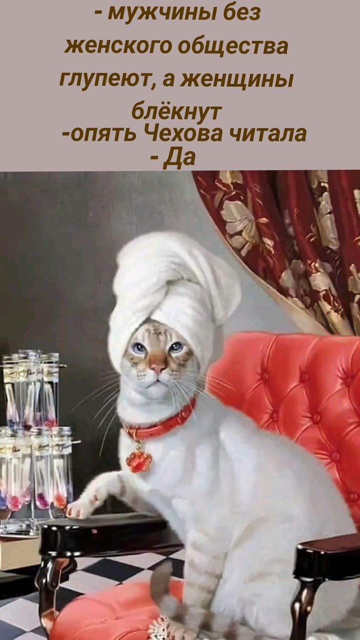 - мужчины без женского общества глупеют, а женщины блекнут - опять Чехова читала - Да