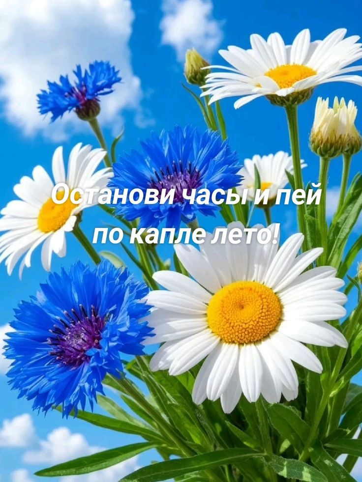 Останови часы и пей по капле лето!