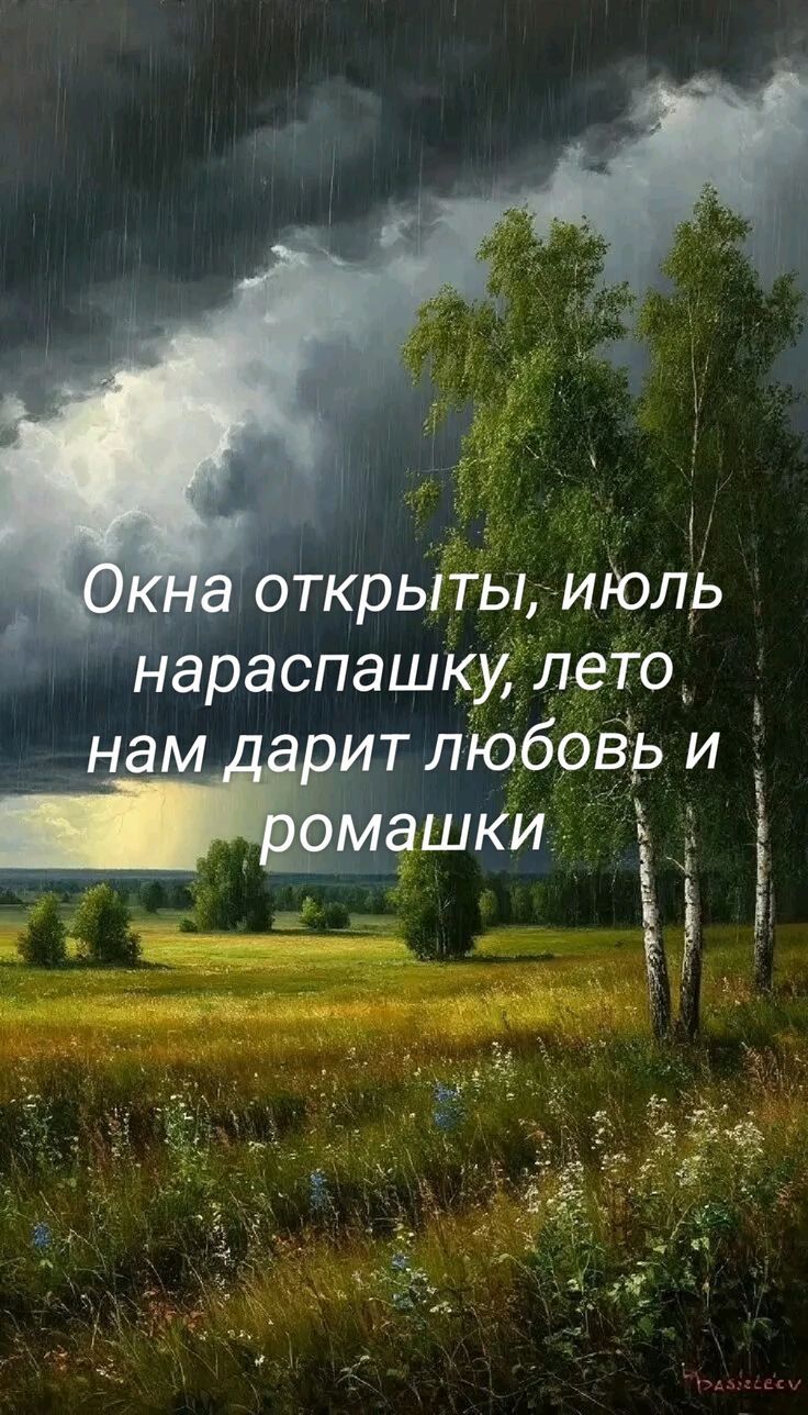 Окна открыты, июль нараспашку, лето нам дарит любовь и ромашки
