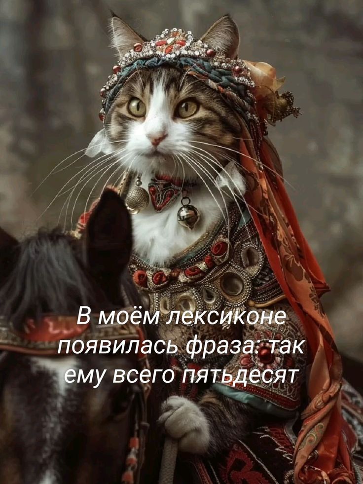 В моём лексиконе появилась фраза: так ему всего пятьдесят