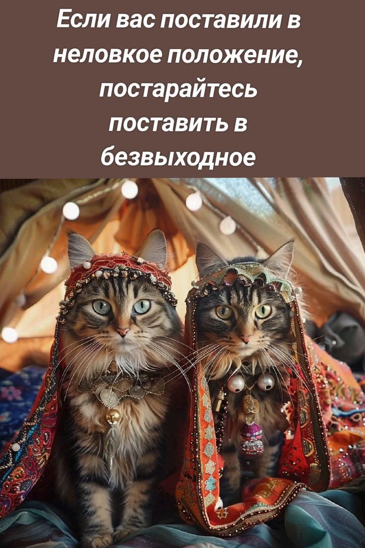 Если вас поставили в неловкое положение, постарайтесь поставить в безвыходное