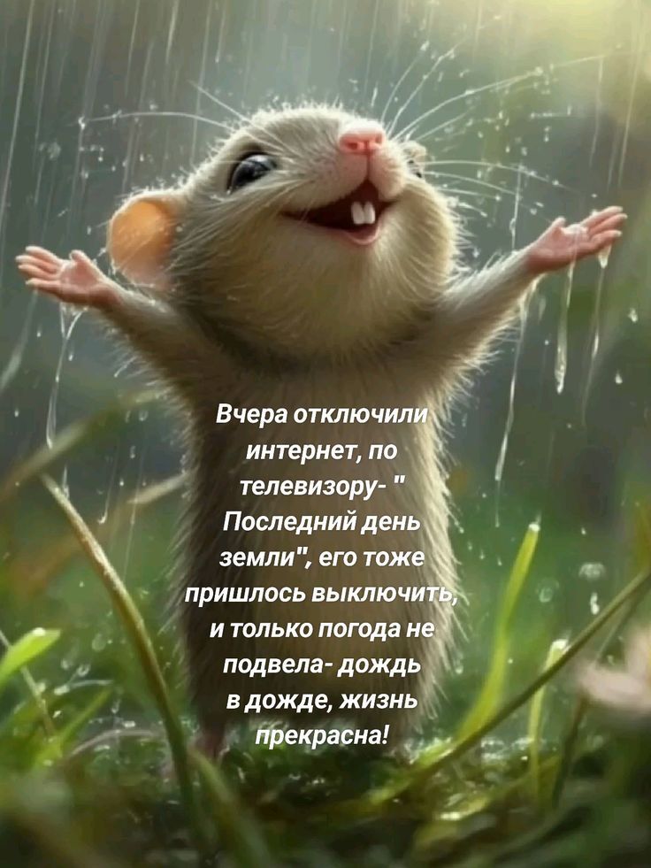 Вчера отключили интернет, по телевизору- 