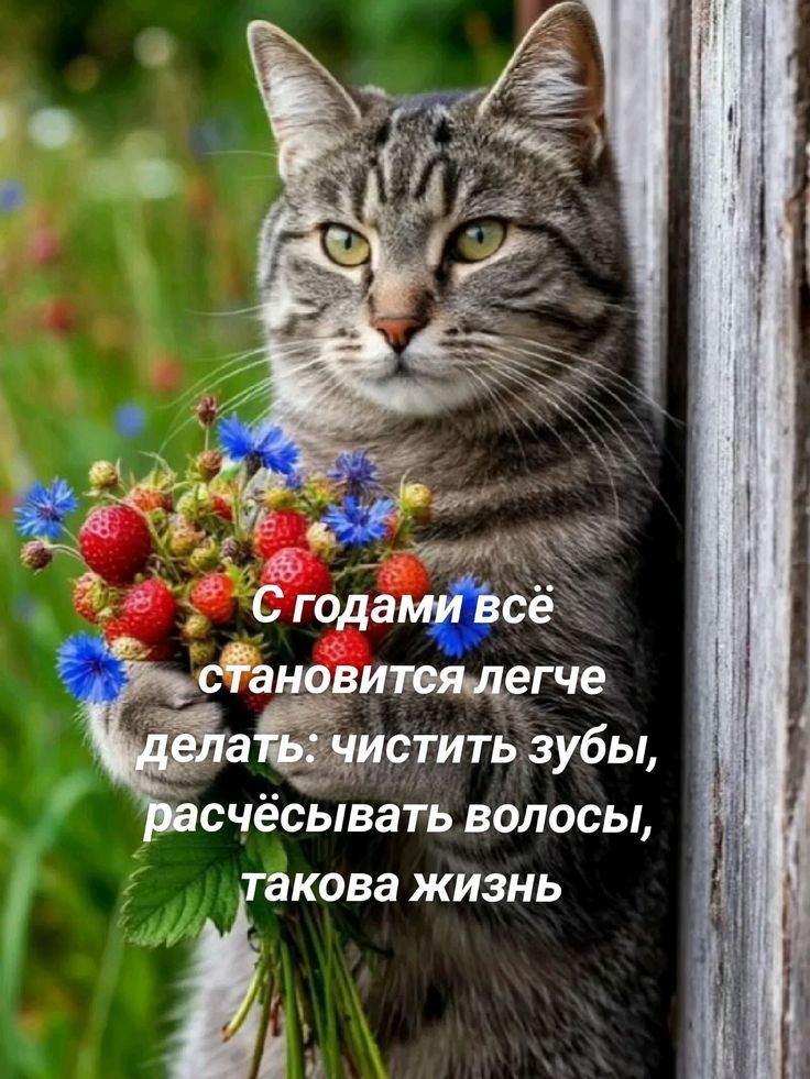 С годами всё становится легче делать: чистить зубы, расчесывать волосы, такова жизнь