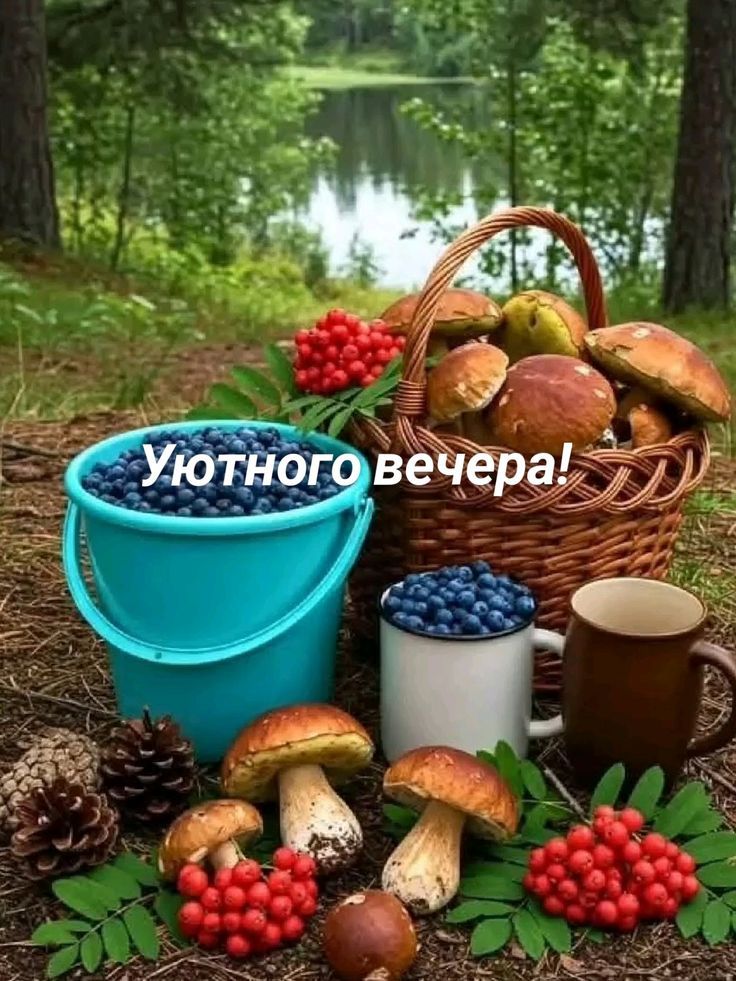 Уютного вечера!
