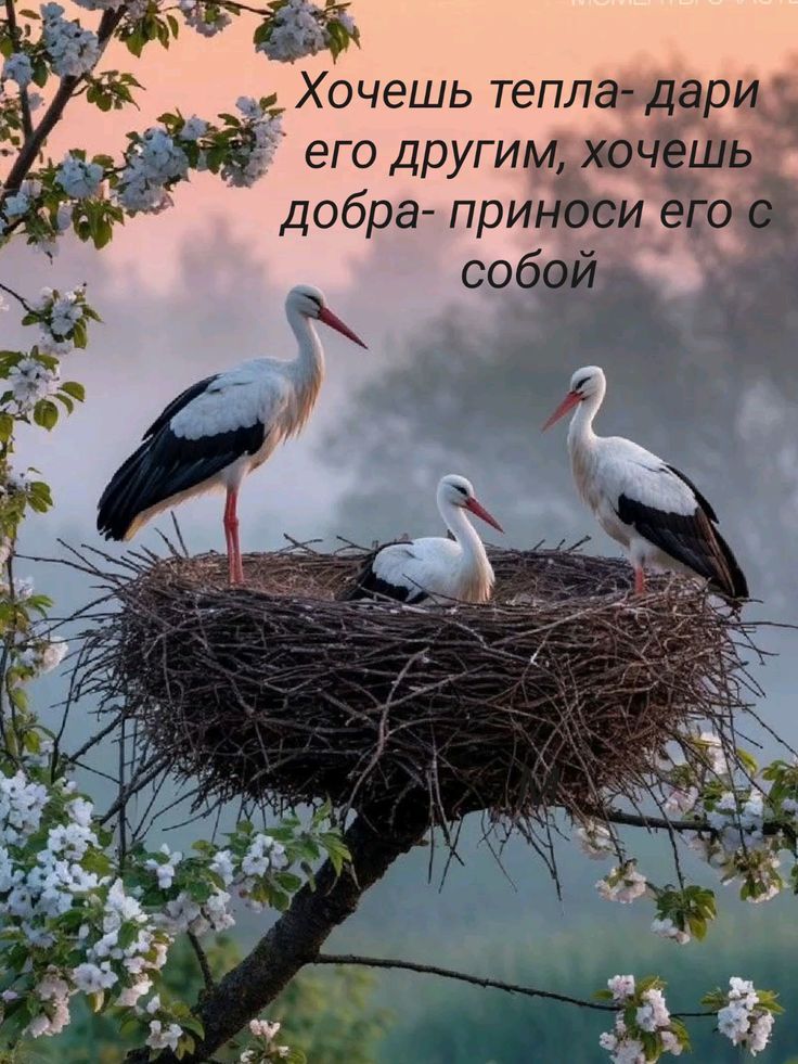 Хочешь тепла - дари его другим, хочешь добра - привноси его с собой
