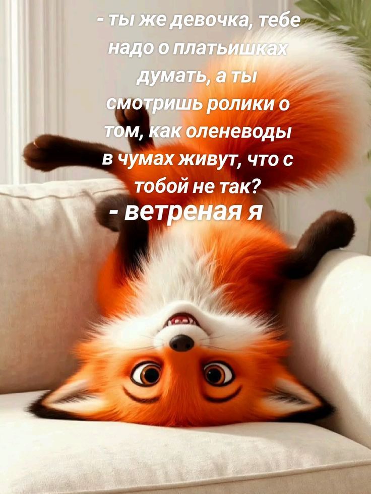 - ты же девочка, тебе надо о платьишках думать, а ты смотришь ролики о том, как оленеводы в чумах живут, что с тобой не так? - ветреная я