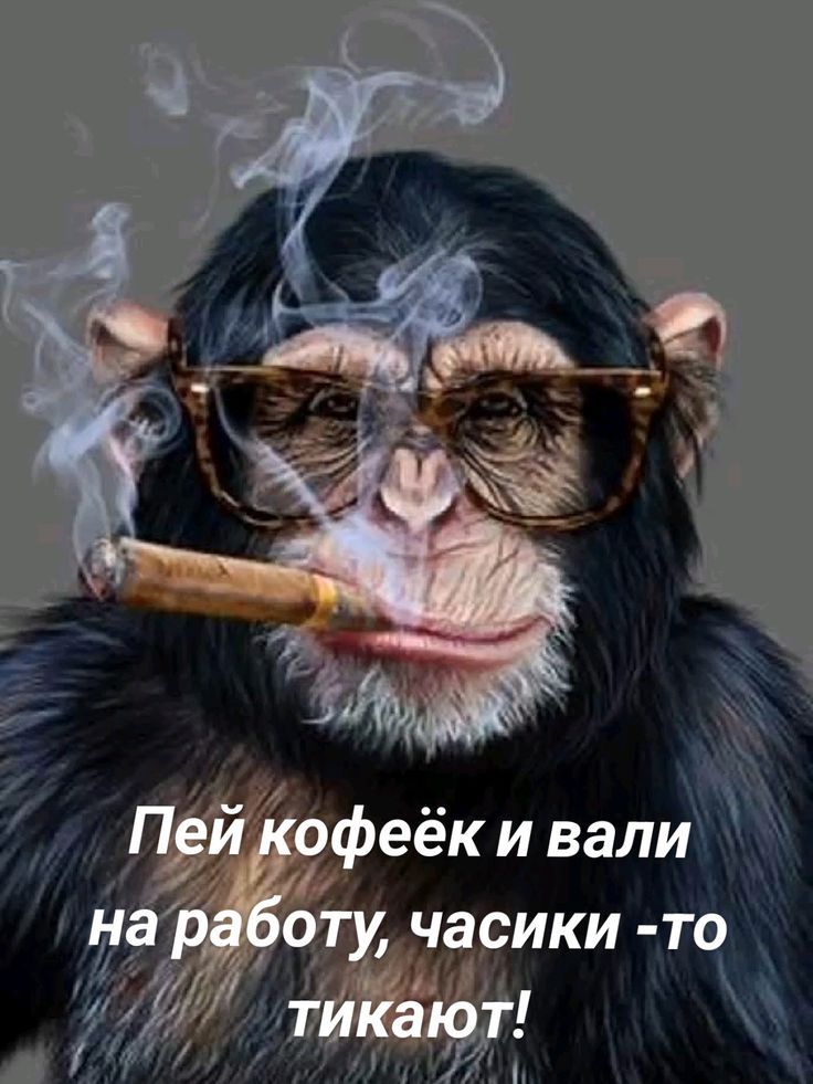 Пей кофейк и вали на работу, часики -то тикают!