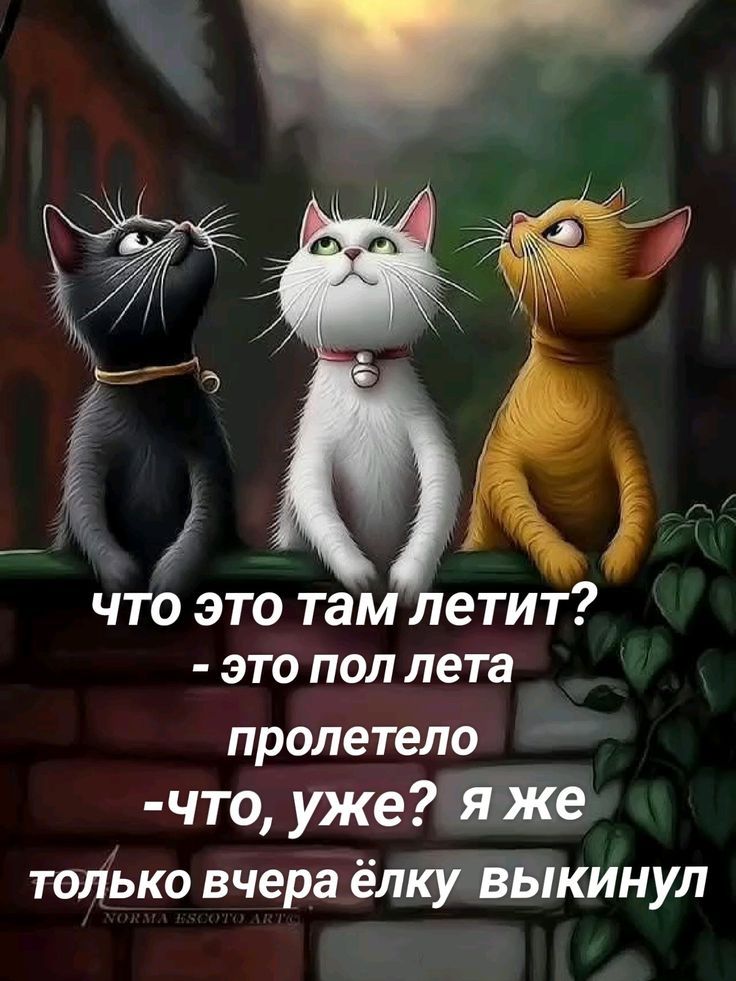 что это там летит?
- это пол лета
пролетело
-что, уже? я же только вчера ёлку выкинул