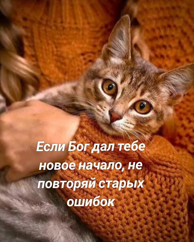 Если Бог дал тебе новое начало, не повторяй старых ошибок