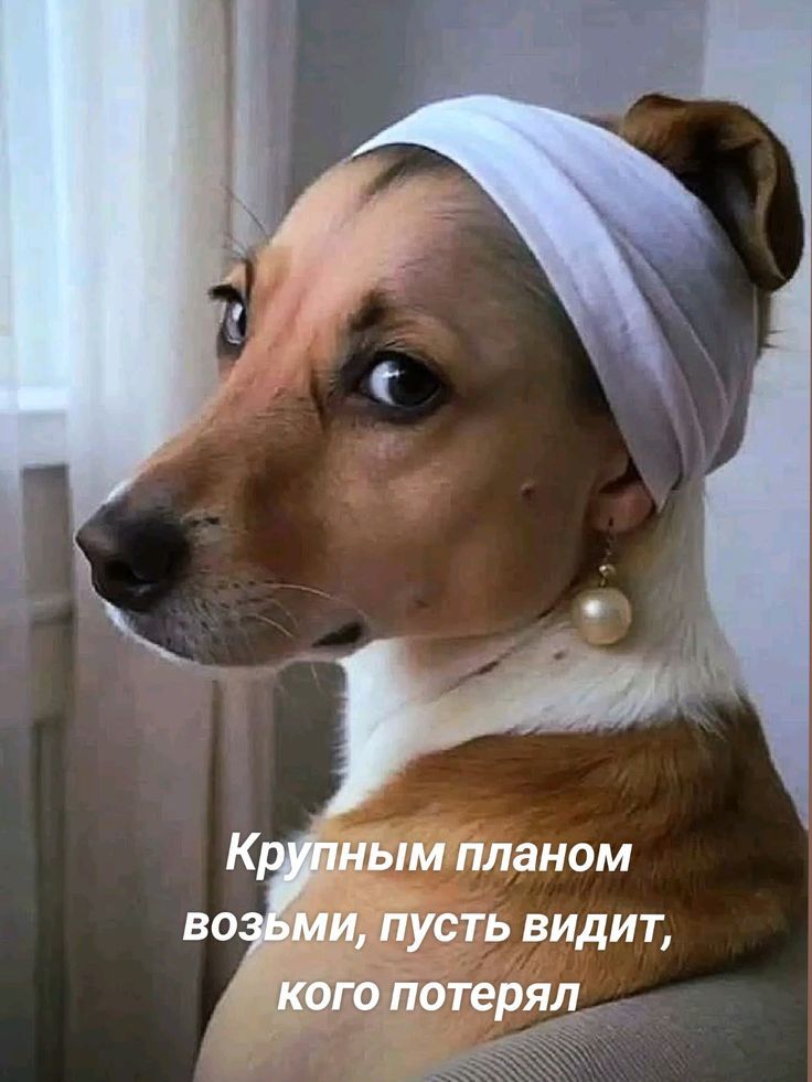 Крупным планом возьми, пусть видит, кого потерял