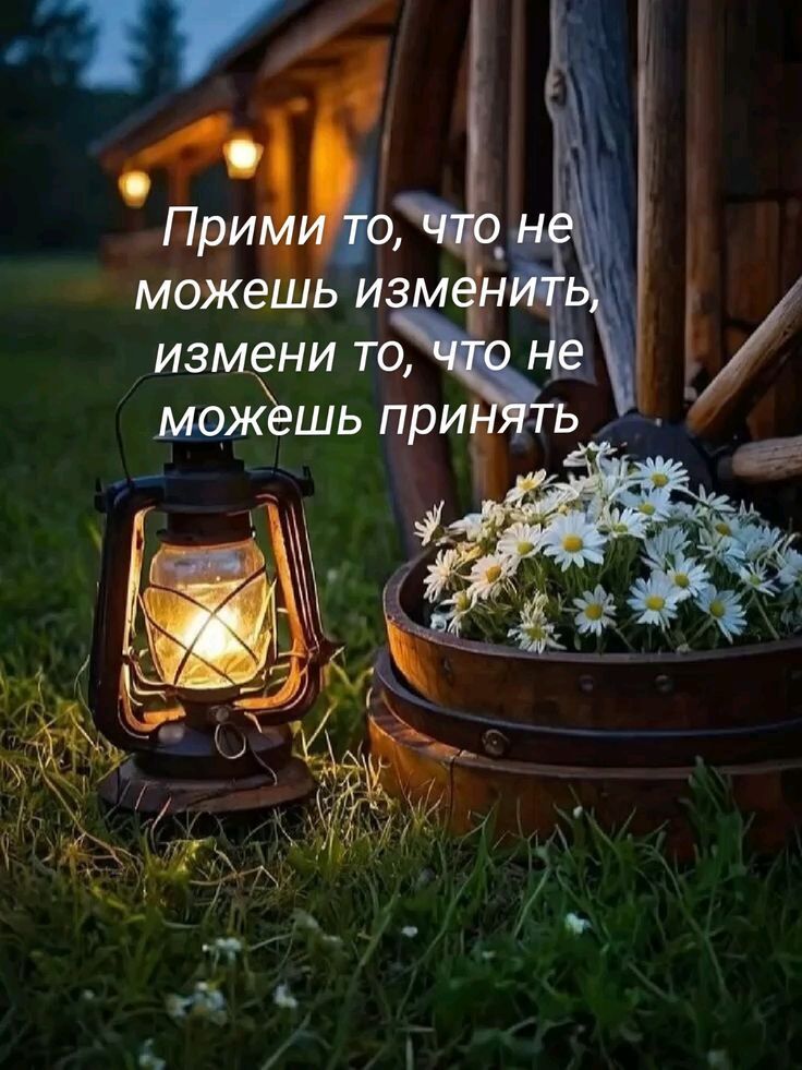 Прими то, что не можешь изменить, измени то, что не можешь принять