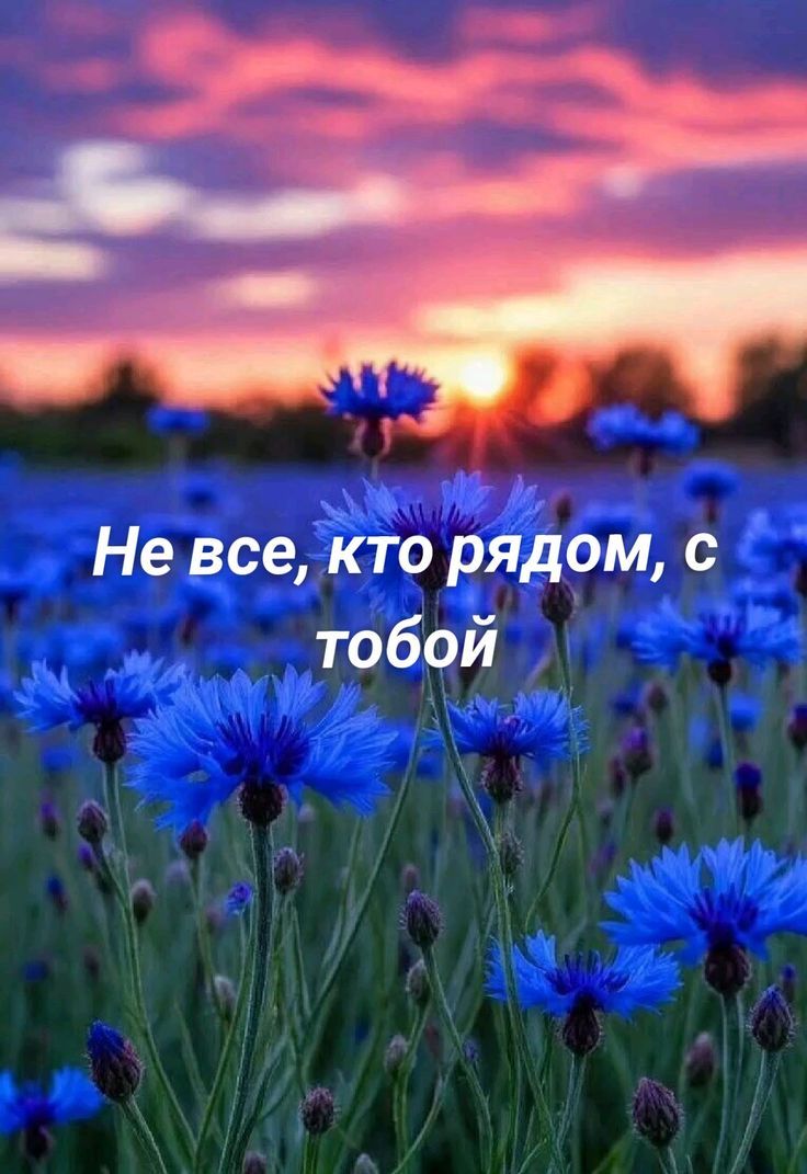 Не все, кто рядом, с тобой