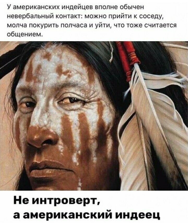 У американских индейцев вполне обычен невербальный контакт: можно прийти к соседу, молча покурить полчаса и уйти, что тоже считается общением.

Не интроверт, а американский индейец
