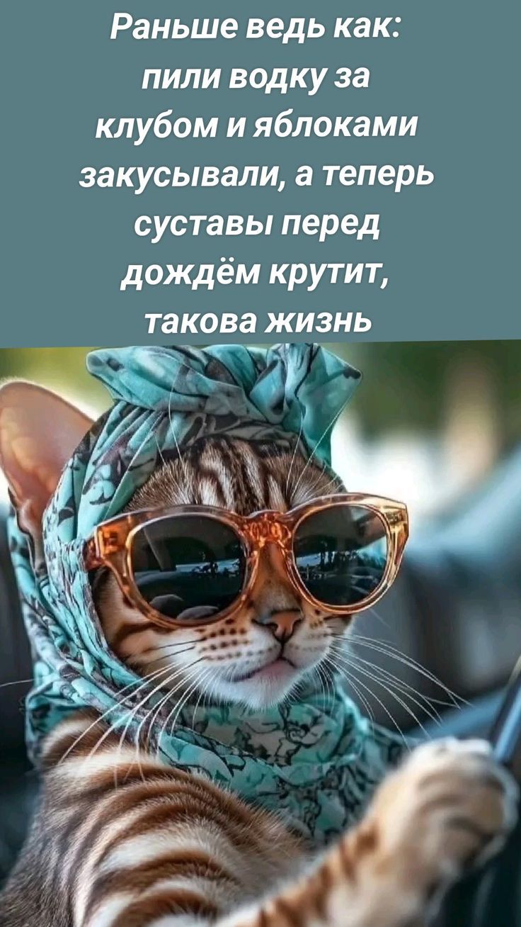 Раньше ведь как: пили водку за клубом и яблоками закусывали, а теперь суставы перед дождём крутит, такова жизнь