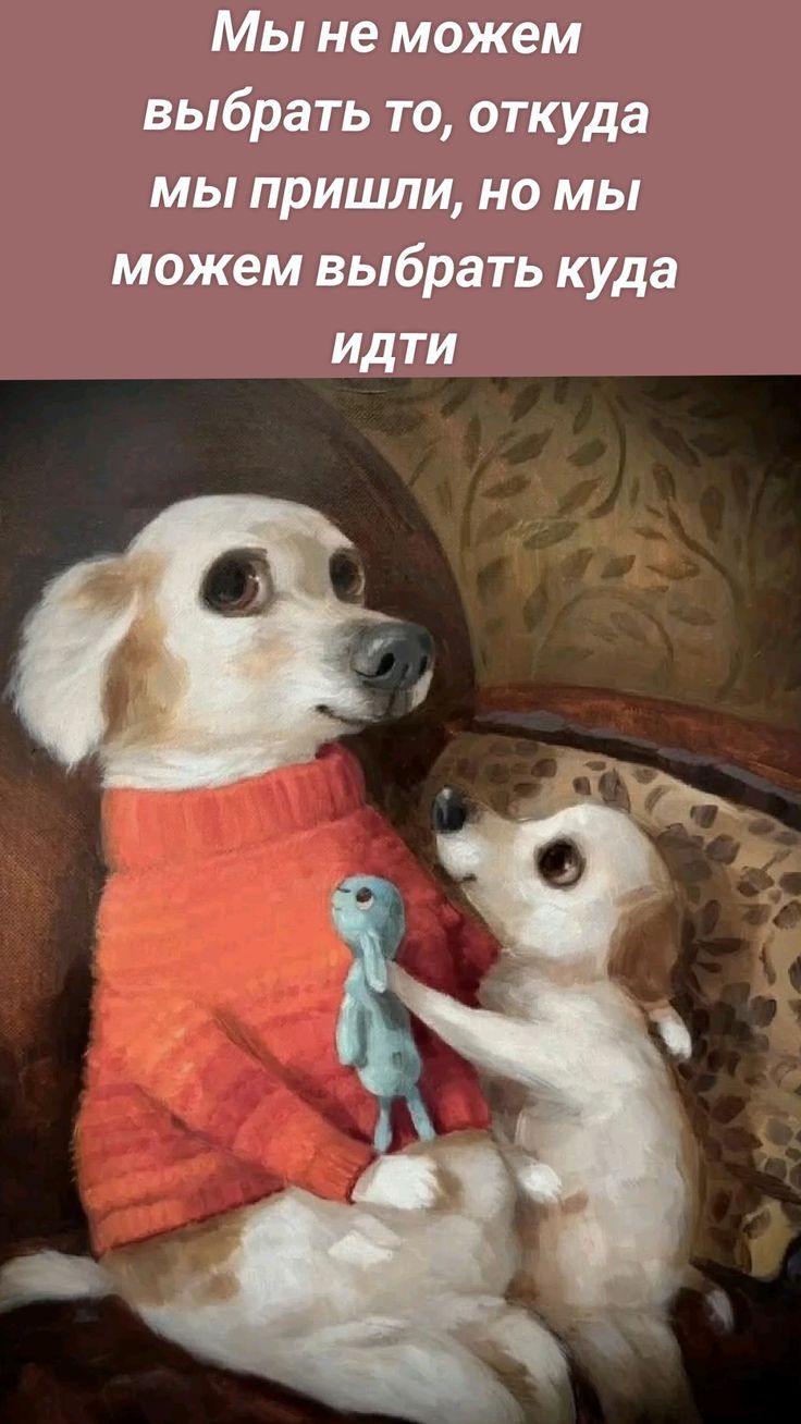 Мы не можем выбрать то, откуда мы пришли, но мы можем выбрать куда идти