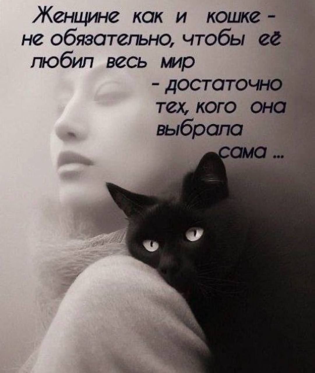 Женщине как и кошке - не обязательно, чтобы её любил весь мир - достаточно тех, кого она выбрала сама ...