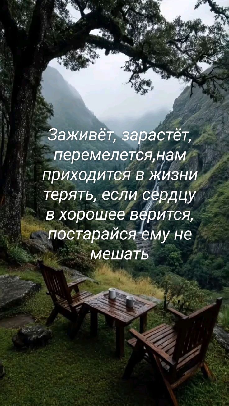 Заживёт, зарастёт, перемелется, нам приходится в жизни терять, если сердцу в хорошее вериться, постарайся ему не мешать