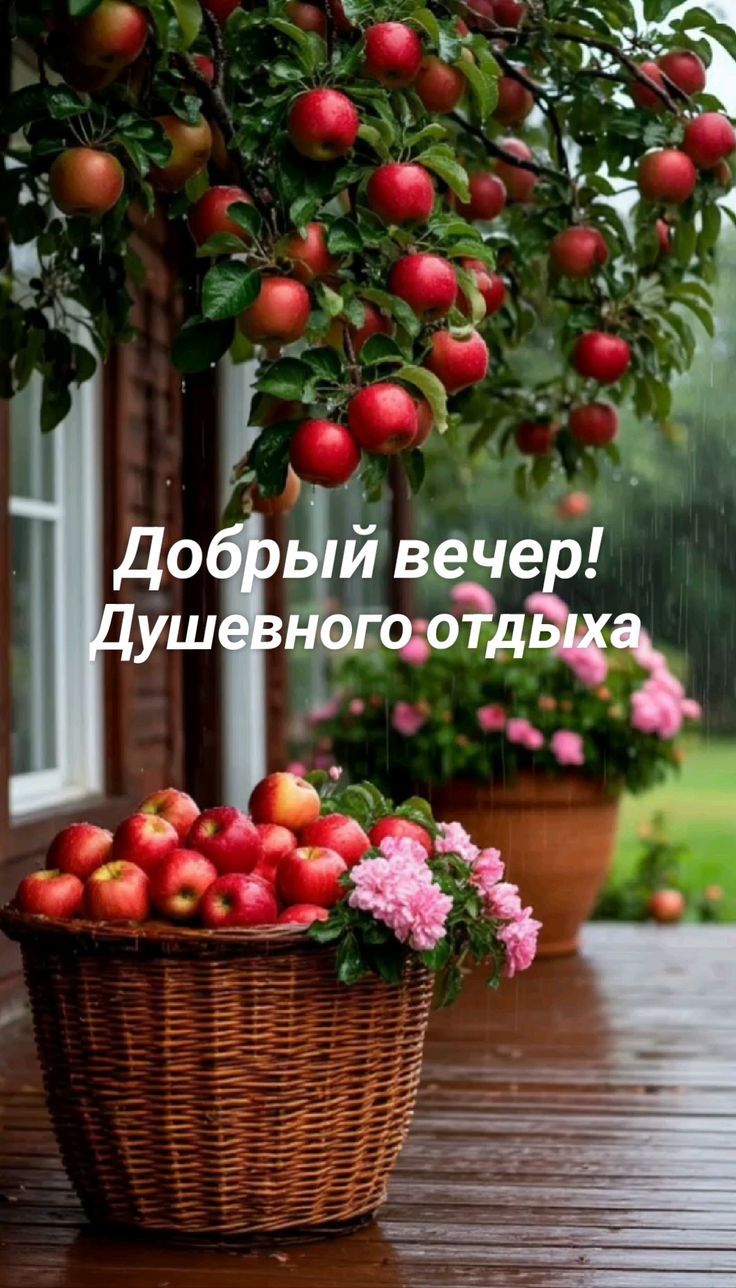 Добрый вечер! Душевного отдыха