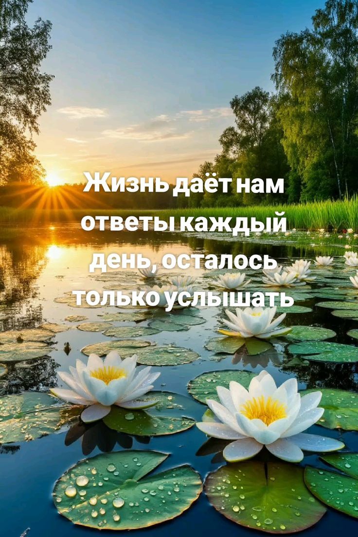 Жизнь даёт нам ответы каждый день, осталось только услышать