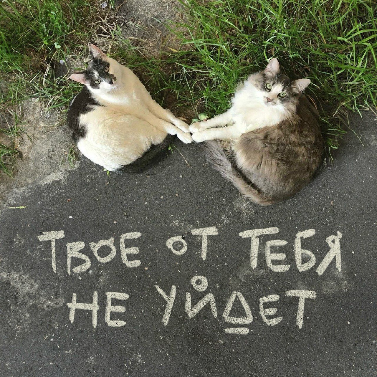 Твое от тебя не уйдет