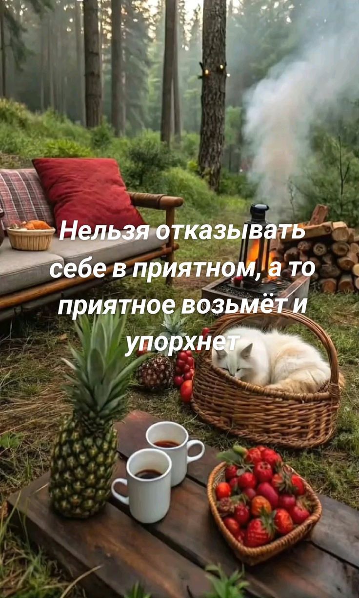Нельзя отказывать себе в приятном, а то приятное возьмёт и упорхнёт