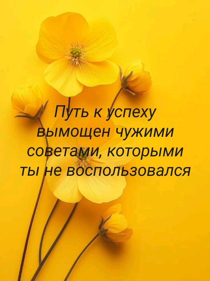 Путь к успеху вымощен чужими советами, которыми ты не воспользовался