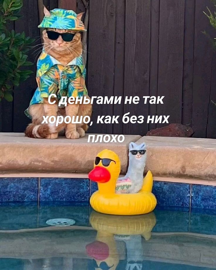 С деньгами не так хорошо, как без них плохо