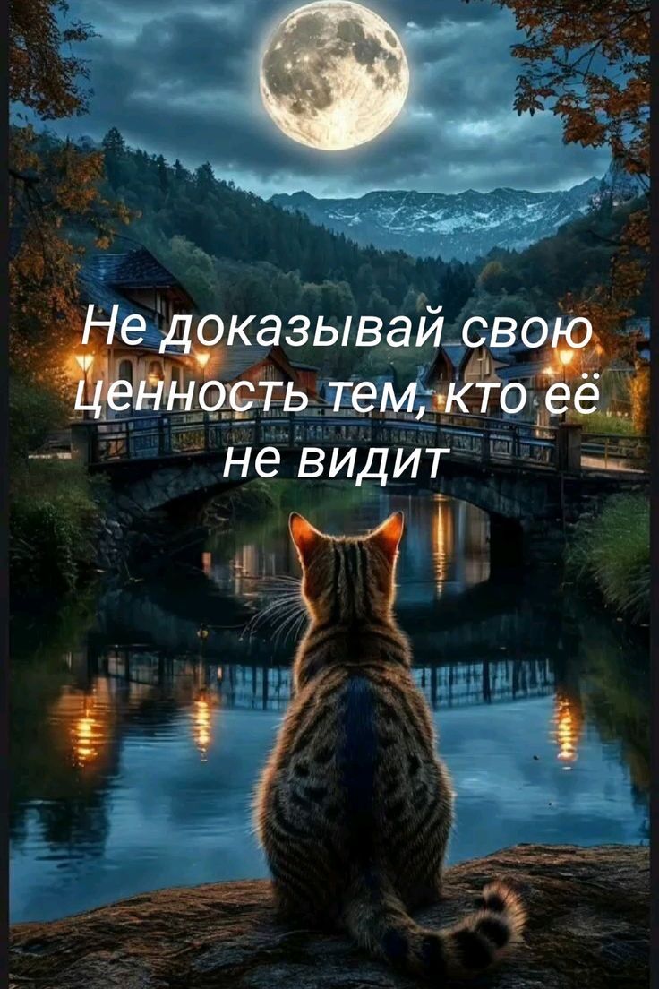 Не доказывай свою ценность тем, кто её не видит