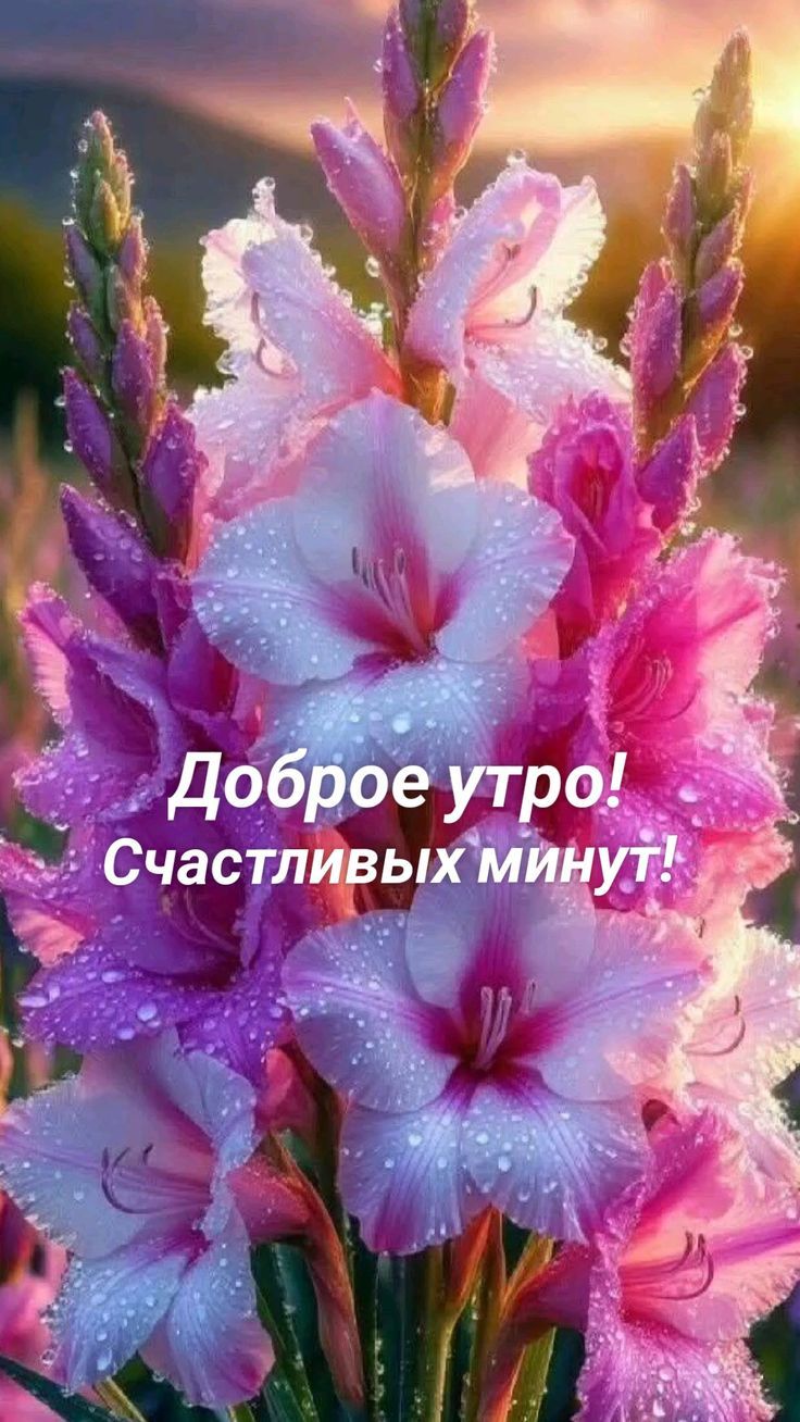 Доброе утро! Счастливых минут!
