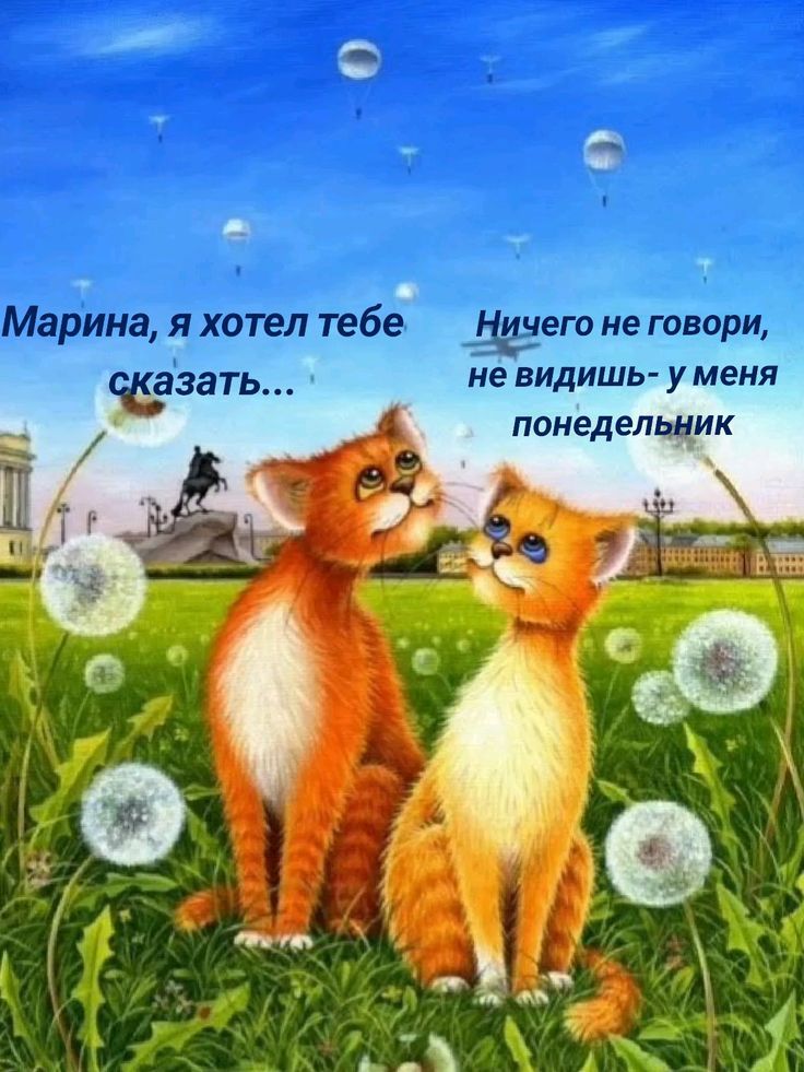 Марина, я хотел тебе сказать… Ничего не говори, не видишь - у меня понедельник
