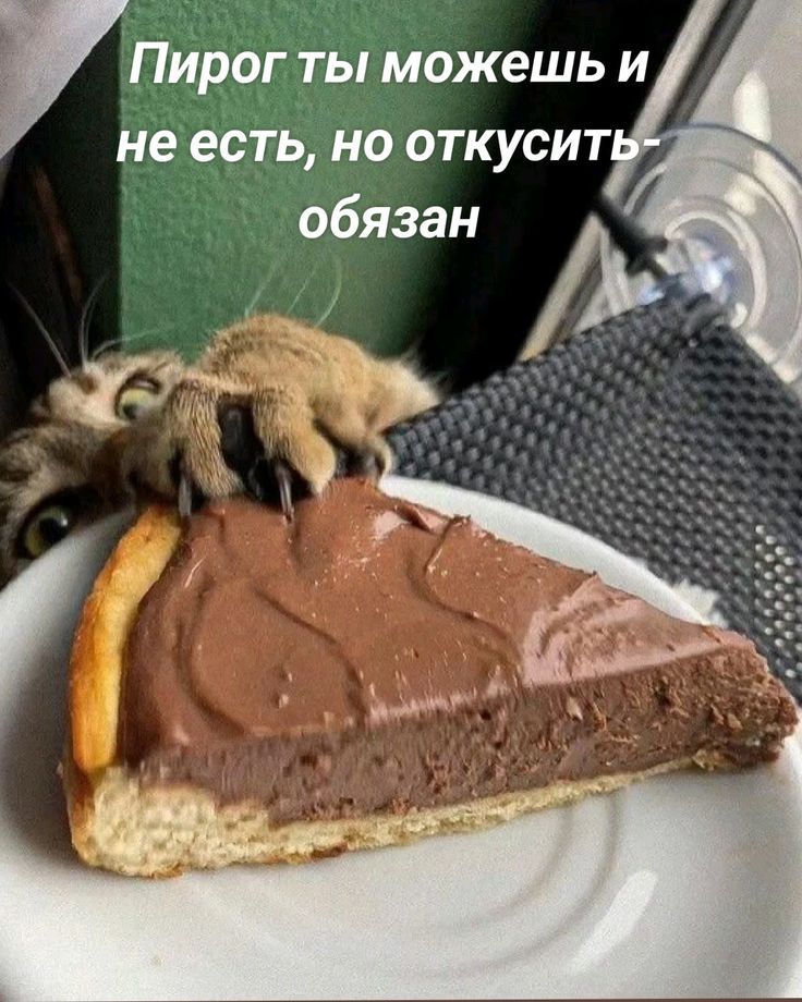 Пирог ты можешь и не есть, но откусить - обязан