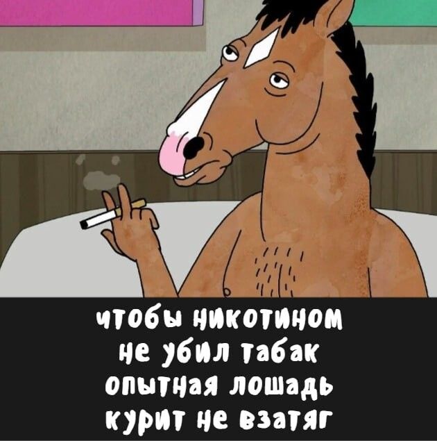 чтобы никотином не убил табак опытная лошадь курит не взятяг