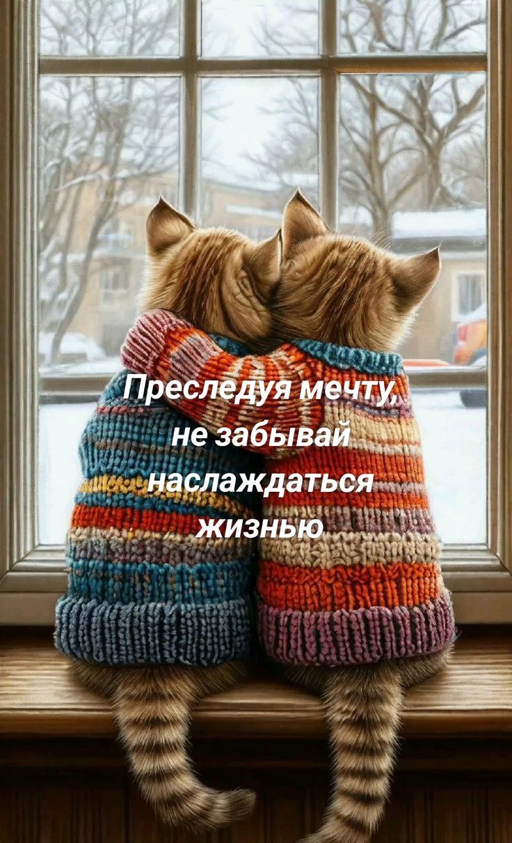 Преследуя мечту, не забывай наслаждаться жизнью