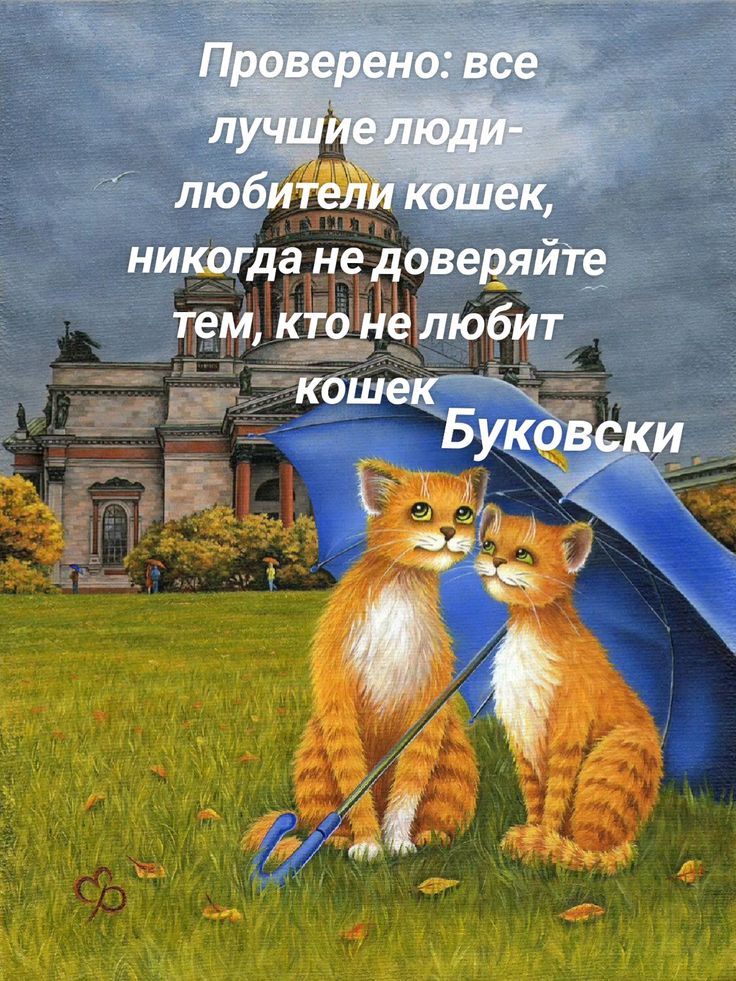 Проверено: все лучшие люди-любители кошек, никогда не доверяйте тем, кто не любит кошек
Буковский